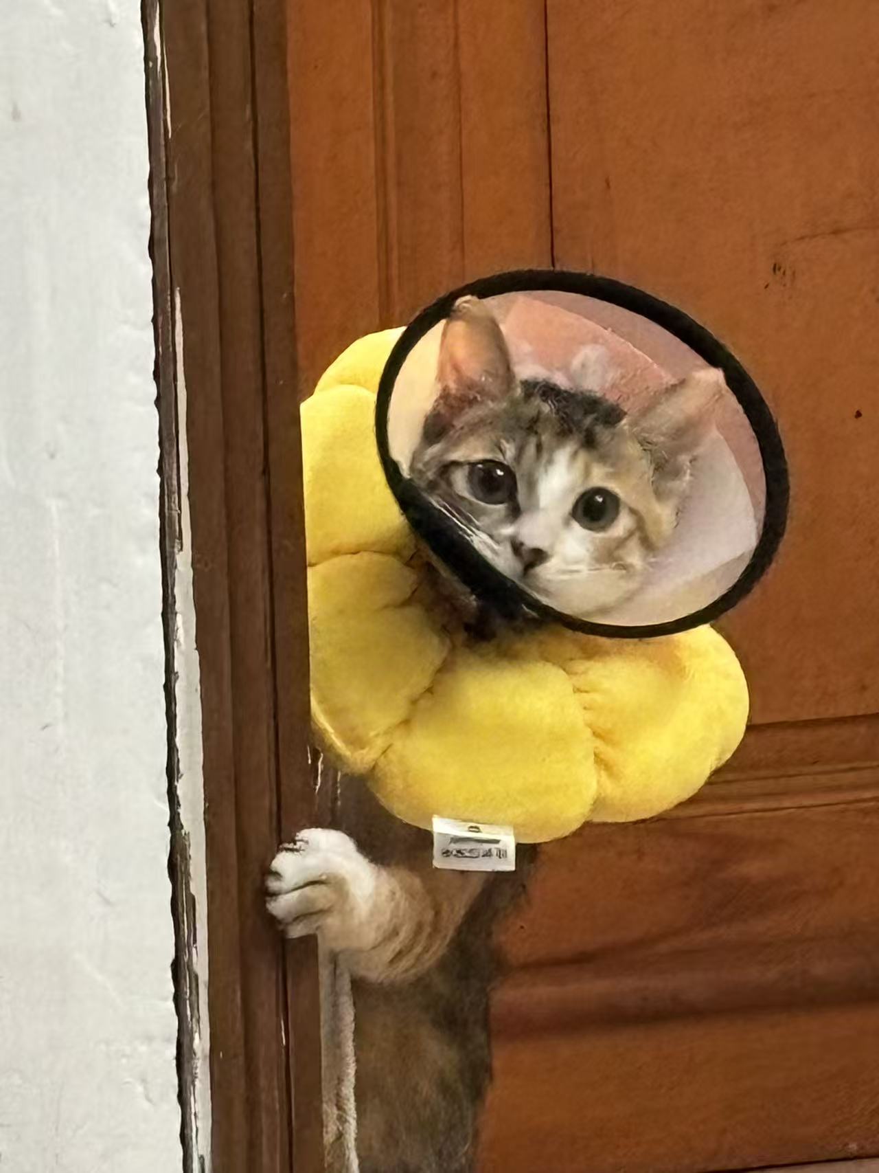 Amber